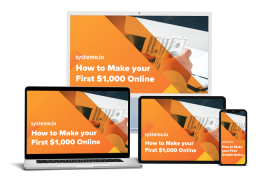 how to make your first $1000 online